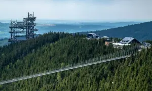 Widok na najdłuższy most wiszący w Polsce, otoczony gęstym lasem świerkowym. W oddali widać wieżę widokową i budynki.