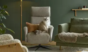 En fluffig katt sitter i en grå fåtölj. Bredvid står en grön soffa med fårskinn. En fåtölj i ek syns till vänster.