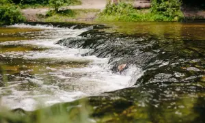 Tomaszów Lubelski: Odkryj Roztocze! Atrakcje i aktywne wycieczki