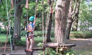 Park Linowy Bluszcz Międzyzdroje: Cennik, Trasy, Godziny. Planuj!