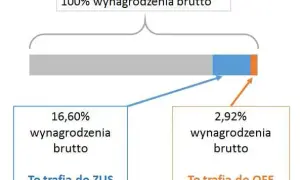 OFE czy ZUS? Decyzja o emeryturze: wybierz mądrze i świadomie