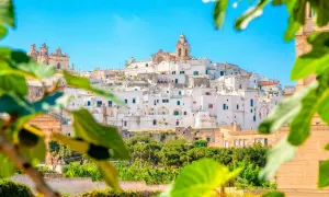 Weißes Dorf in Apulien, Italien, mit Blick auf grüne Bäume. Entdecken Sie Brindisi Geheimtipps für Ihren Urlaub.
