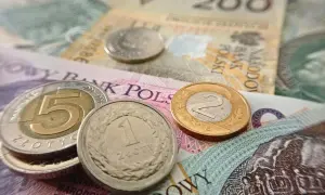 Złote monety i banknoty. Chcesz wiedzieć, jak sprawdzić, czy jesteś w OFE czy ZUS? Sprawdź swoje finanse!