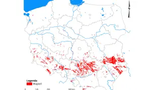 Mapa Polski z zaznaczonymi obszarami występowania wapienia, gdzie mogą znajdować się jeziora krasowe.