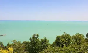 Widok na turkusowe wody Balatonu z licznymi żaglówkami. Na pierwszym planie bujna zieleń drzew, a w oddali widać zarys miejscowości nad Balatonem.