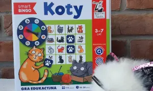 Jak grać w kotki - proste zasady i strategie, aby wygrać