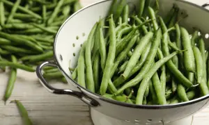 Un tamis rempli de haricots verts frais et brillants, prêts à être cuisinés. D'autres haricots verts sont étalés sur la table en bois.