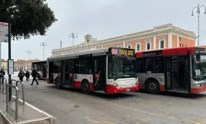 Autobusy komunikacji miejskiej w Bari czekają na pasażerów. Jeden z nich, linia 20, kieruje się na Piazza Moro.
