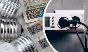 Żarówki, polskie banknoty i licznik energii elektrycznej.
