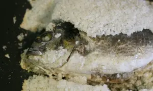 Dorada a la sal, lista para hornear. El pescado está cubierto de sal gruesa, con su cabeza visible.