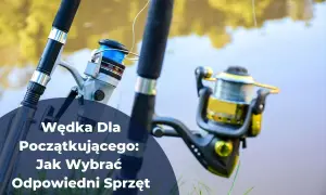 Dwie wędki travel z kołowrotkami, gotowe na wyprawę wędkarską. Idealny sprzęt dla początkujących.