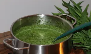 En kastrull med grön spenatsoppa, en grön slev rör om. Gröna blad syns i bakgrunden.