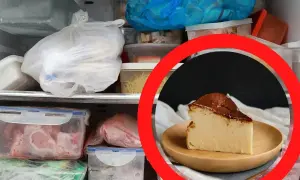 Kawałek pysznego sernika na talerzyku, otoczony mrożonkami w lodówce. Czy sernik można mrozic? Tak, aby cieszyć się nim później!