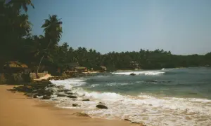 Piękne zdjęcia z analoga: piaszczysta plaża, palmy, kamienie i fale oceanu. Tropikalny raj.