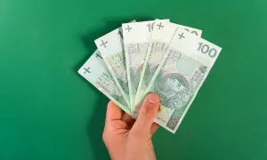 Dłoń trzyma banknoty 100 zł. Czy to wystarczy, by przekroczyć jaki jest próg podatkowy?