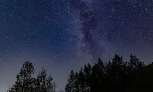Nocne niebo pełne gwiazd i Drogi Mlecznej nad ciemnym lasem. Idealne do oglądania gwiazd.