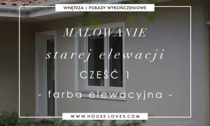 Malowanie starej elewacji – poradnik, jak wybrać farbę elewacyjną. Część 1.