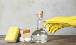 Ingredienti per un detersivo lavatrice fatto in casa da Benedetta: aceto bianco in una caraffa, sapone, bicarbonato e una spugna.
