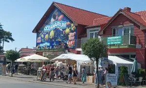 Oceanarium w Niechorzu - Ciekawe atrakcje i opinie odwiedzających
