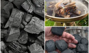Brykiet czy węgiel drzewny – co lepsze do grilla i dlaczego warto wiedzieć