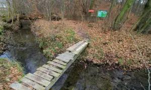 Rezerwaty przyrody na Śląsku - odkryj ich piękno i tajemnice
