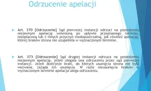 Co zrobić po odrzuceniu apelacji? Sprawdź swoje opcje prawne