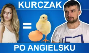 Jak jest po angielsku kurczak? Poznaj tłumaczenie i więcej!