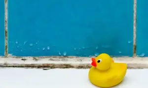 Jak pozbyć się pleśni z łazienki - skuteczne metody i porady