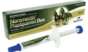 Odrobaczanie konia przed czy po jedzeniu: co jest skuteczniejsze?