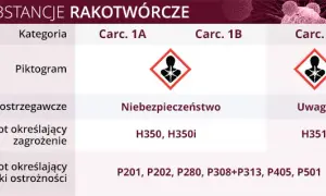 Czy hybrydy są rakotwórcze? Fakty i mity o bezpieczeństwie aut