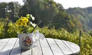 Jak wybrać idealny stół ogrodowy?