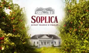 Soplica wiśniowa drink - proste przepisy na pyszne koktajle