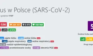 Statystyki koronawirusa w Polsce: alarmujące dane o zakażeniach