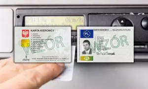 Najpierw prawo jazdy czy karta kierowcy? Kluczowe różnice i kolejność uzyskania
