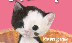 Kto śpiewa zaopiekuj się mną? Prawda o wersjach IRA i Rezerwat