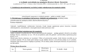 Jak skutecznie uzasadnić wniosek o wycinkę drzew bez konsekwencji prawnych