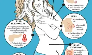 Jak zmieniają się piersi w ciąży? Wygląd, ból i pielęgnacja w tym wyjątkowym czasie