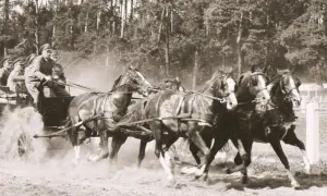 Stadnina ogierów Łąck - historia, tradycja i aktualne wydarzenia