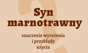 Syn marnotrawny frazeologizm - znaczenie i biblijne konteksty
