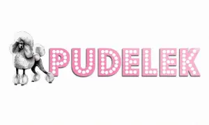 Z kim jest Heidi Klum? Odkryj jej związek z Tomem Kaulitzem