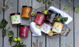 Gdzie kupić dobry miód? Oto miejsca z najlepszymi produktami
