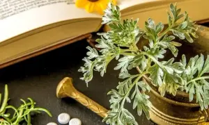 Homeopatia studia - klucz do sukcesu w medycynie alternatywnej