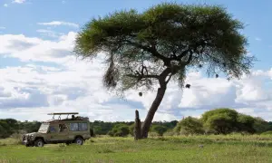 Tanzania gdzie leży? Odkryj jej położenie w Afryce Wschodniej