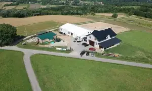 Stadnina koni Palomino w Chmielniku – usługi jeździeckie i hipoterapia