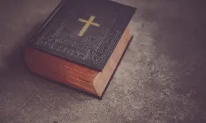 Frazeologizm arka Noego - co oznacza i jak go używać w życiu?