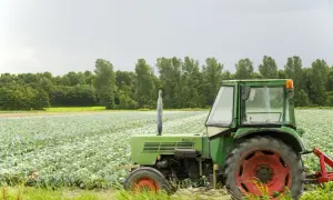 Jak rolnik rozlicza się z urzędem skarbowym i unika problemów?