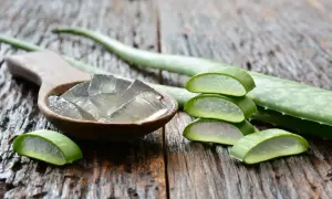 Jak używać aloes z doniczki: proste sposoby na zdrowie i urodę