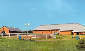 Najlepsze stadniny koni w Jaworznie - sprawdź, gdzie jeździć bez obaw
