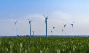 Na czym polega zrównoważony rozwój i dlaczego jest tak ważny?