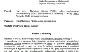 Gdzie złożyć pozew o alimenty, aby uniknąć niepotrzebnych problemów?